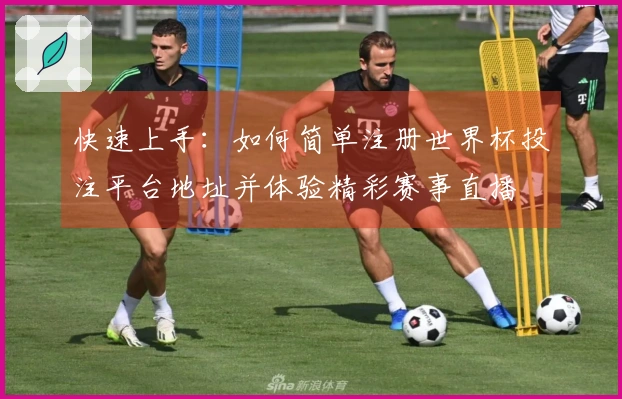 快速上手：如何简单注册世界杯投注平台地址并体验精彩赛事直播