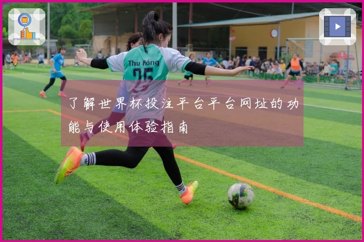 了解世界杯投注平台平台网址的功能与使用体验指南