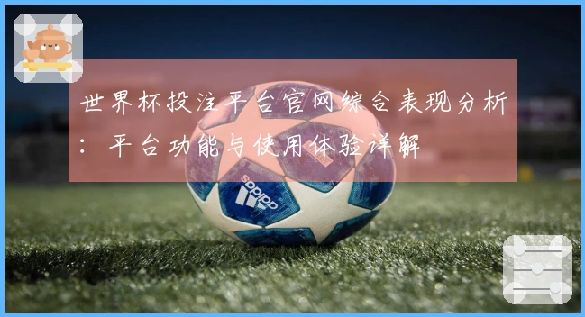 世界杯投注平台官网综合表现分析:平台功能与使用体验详解