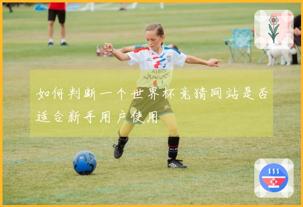 如何判断一个世界杯竞猜网站是否适合新手用户使用