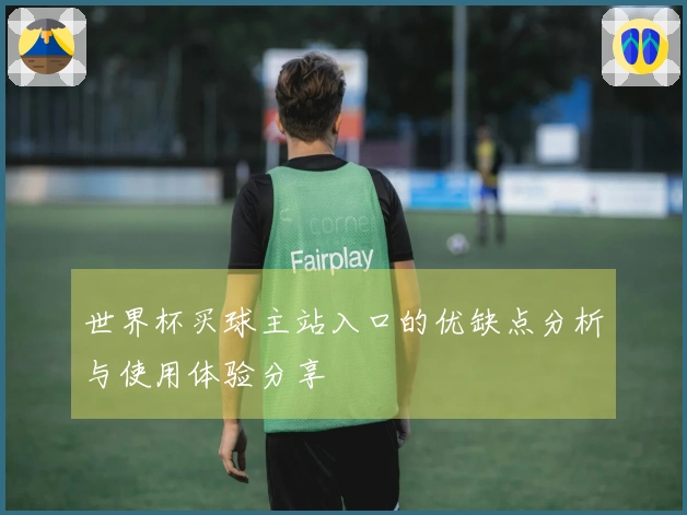 世界杯买球主站入口的优缺点分析与使用体验分享