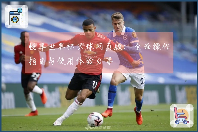 畅享世界杯买球网页版：全面操作指南与使用体验分享