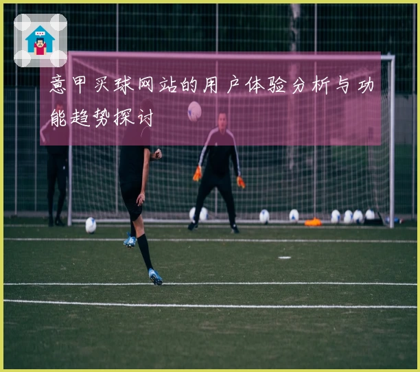 意甲买球网站的用户体验分析与功能趋势探讨