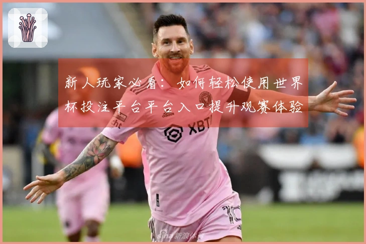 新人玩家必看:如何轻松使用世界杯投注平台平台入口提升观赛体验