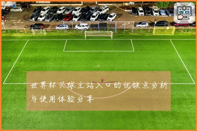 世界杯买球主站入口的优缺点分析与使用体验分享
