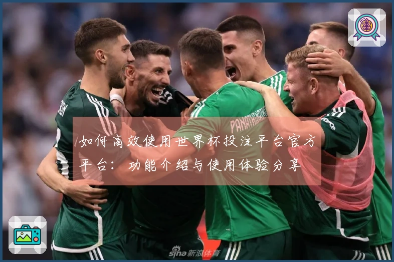 如何高效使用世界杯投注平台官方平台:功能介绍与使用体验分享