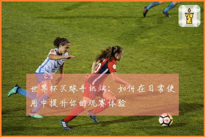 世界杯买球手机端：如何在日常使用中提升你的观赛体验