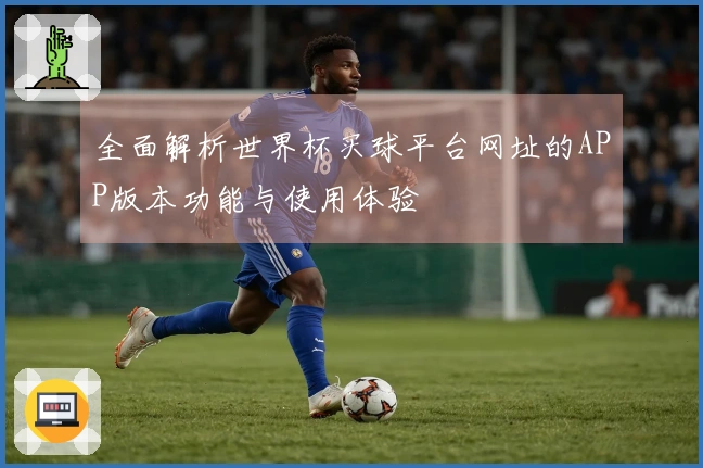 全面解析世界杯买球平台网址的APP版本功能与使用体验