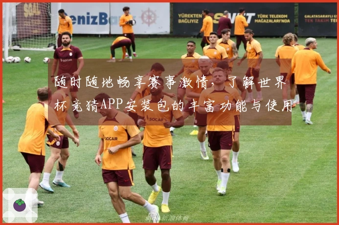随时随地畅享赛事激情,了解世界杯竞猜APP安装包的丰富功能与使用体验