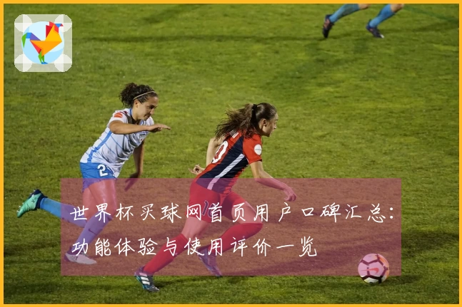 世界杯买球网首页用户口碑汇总：功能体验与使用评价一览