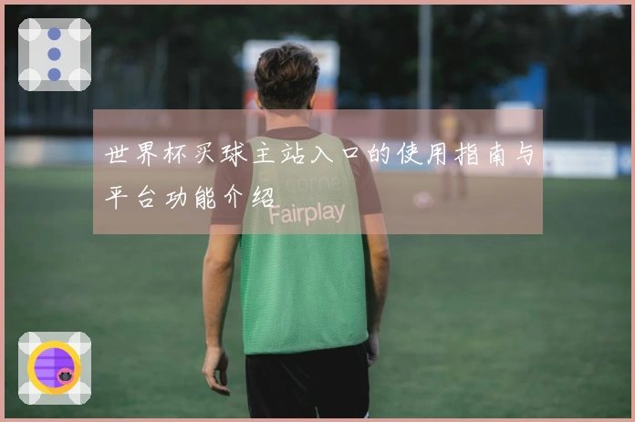 世界杯买球主站入口的使用指南与平台功能介绍