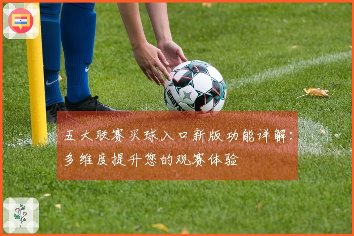 五大联赛买球入口新版功能详解：多维度提升您的观赛体验