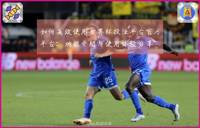 如何高效使用世界杯投注平台官方平台：功能介绍与使用体验分享