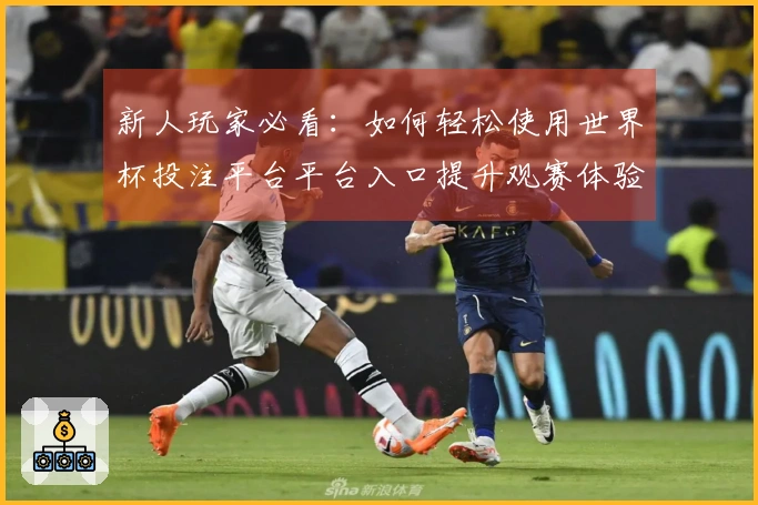 新人玩家必看：如何轻松使用世界杯投注平台平台入口提升观赛体验
