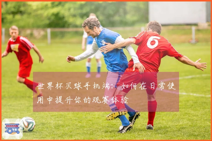 世界杯买球手机端:如何在日常使用中提升你的观赛体验