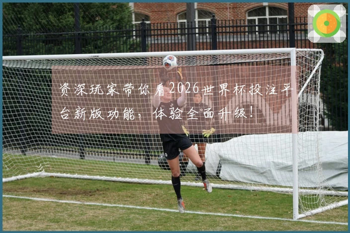 资深玩家带你看2026世界杯投注平台新版功能，体验全面升级！